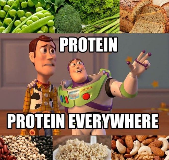 veganos proteinas